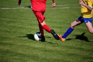 -HLE险胜MAD，Knight拿下关键大龙2025世界赛3:1（北京）