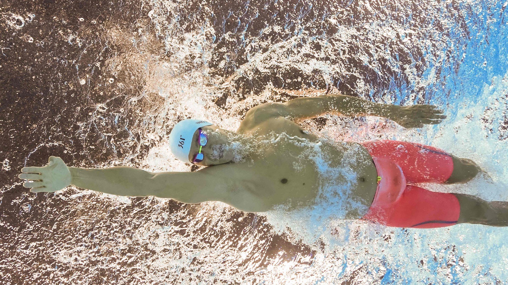 绿茵场与乒乓台的双重奏，葡萄牙力克德国，张本智和统治全场